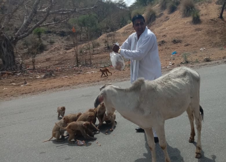  अरावली पोस्ट से प्रेरणा ले बेजुबान जानवरों की सहायता के लिए समाजसेवी आए आगे