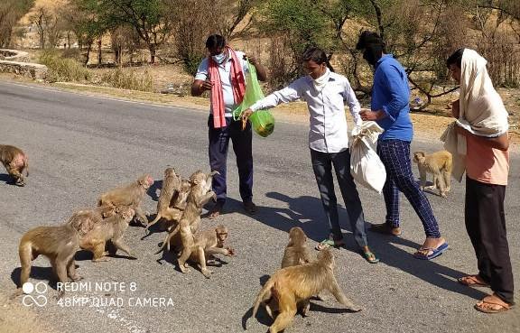  बेजुबान को खाना खिलाना पुण्य का काम: पोषवाल