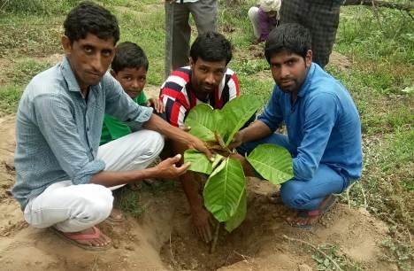  श्मशान भूमि में हुआ एक सौ वृक्षों का रोपण